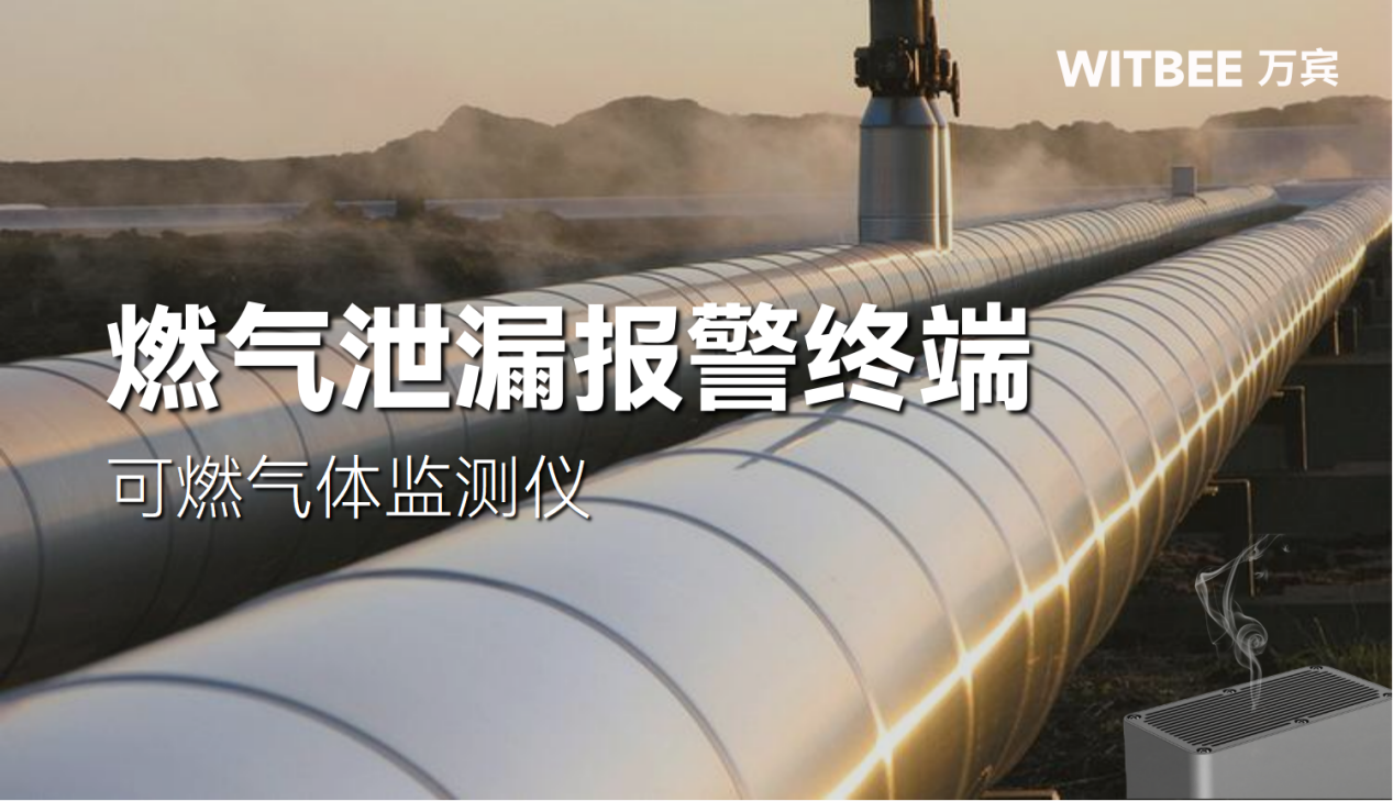 燃氣泄漏報警終端：可燃氣體監測儀(圖1)